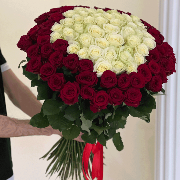 101 роза красная и в середине белая в Старом Крыму