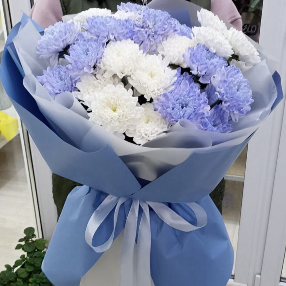 7 белых и голубых хризантем  в Старом Крыму