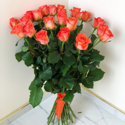 21 коралловая роза, лента