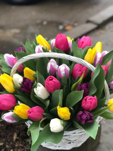 41 тюльпан микс в корзине в Старом Крыму