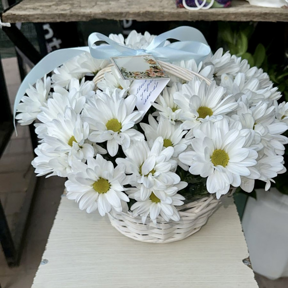 Композиция  «Хризантемы в корзине» в Старом Крыму