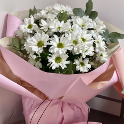 Букет  из 7 белых кустовых хризантем в упаковке