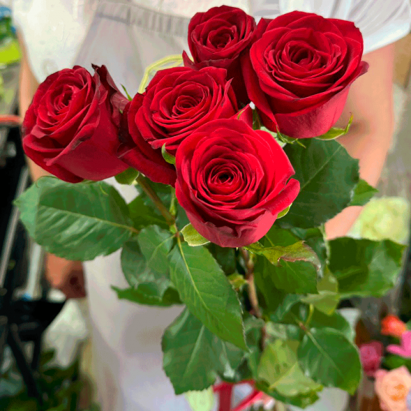 5 красных роз в Старом Крыму