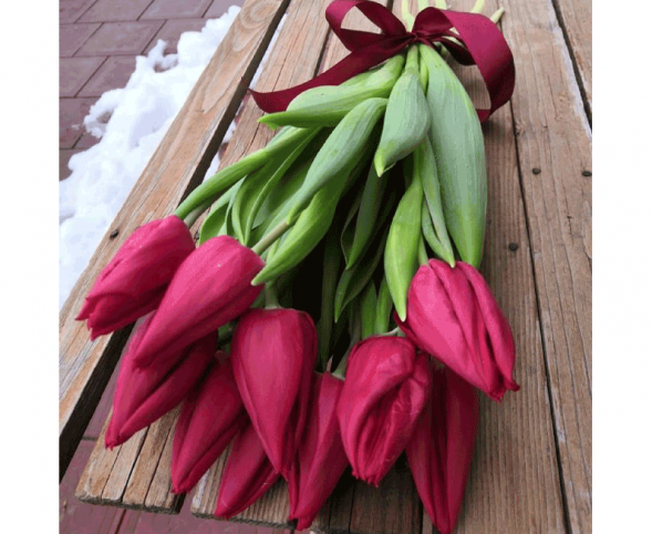 11 красных тюльпанов, лента в Старом Крыму