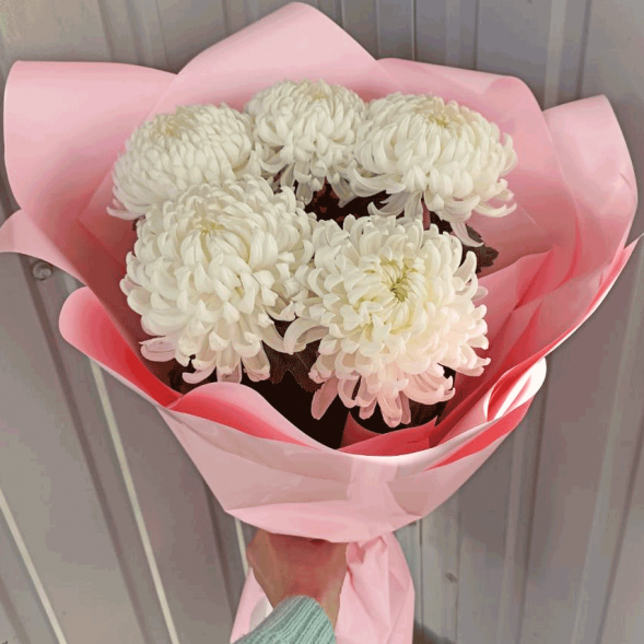 Букет 5 одноголовых хризантем в Старом Крыму