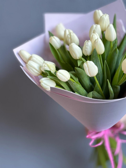 21 белый тюльпан в Старом Крыму