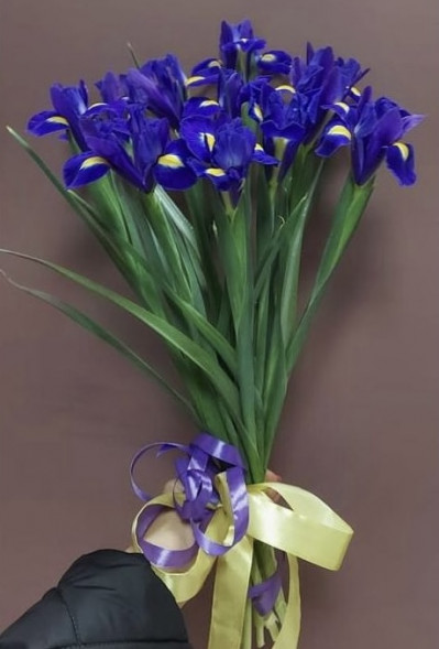 Букет 11 ирисов  в Старом Крыму