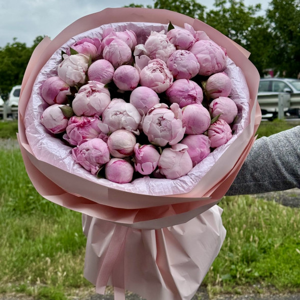 29 пионов &quot;Сара-Бернар&quot; в нежно-розовой упаковке в Старом Крыму