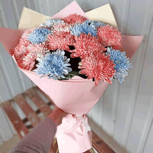 15 одноголовых хризантем микс в Старом Крыму