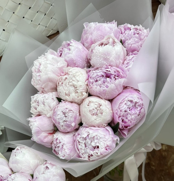 15 пионов Сара Бернар в Старом Крыму